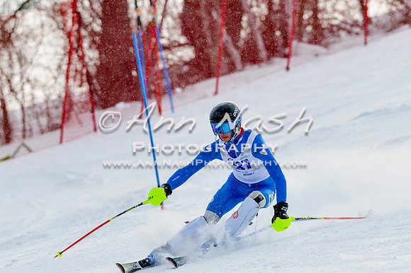 2016 February 14 alpine DSC_6675
