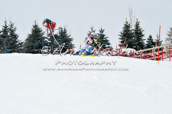 2016 January 22 alpine DSC_1611