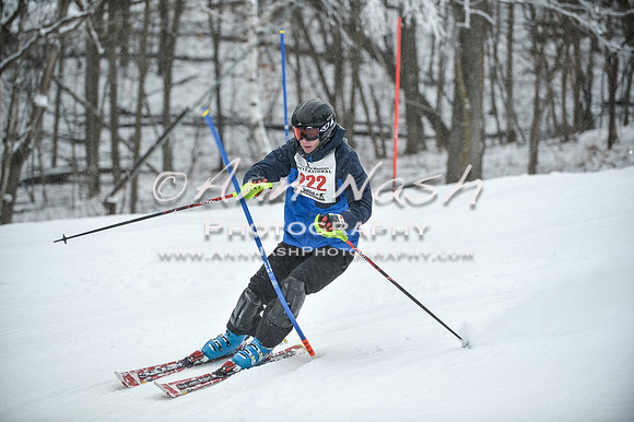 2015 December 18 alpine DSC_9318