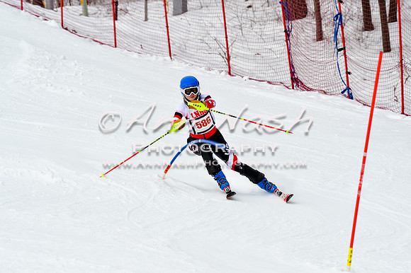 2016 January 22 alpine DSC_1712
