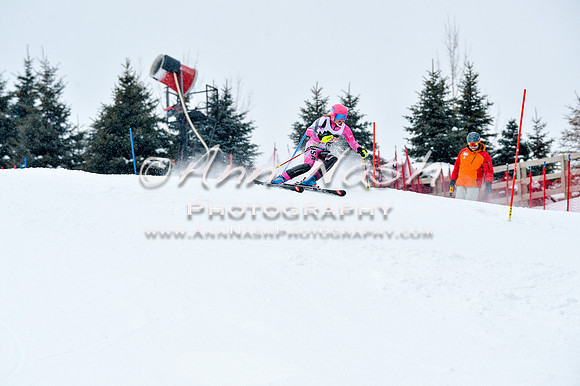 2016 January 22 alpine DSC_0862