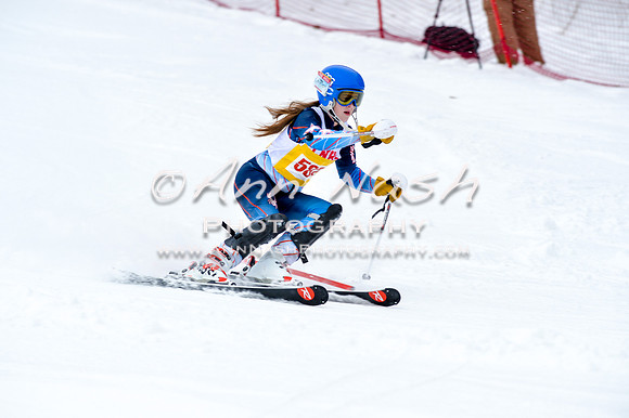 2016 January 22 alpine DSC_0968