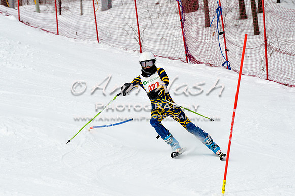 2016 January 22 alpine DSC_1736