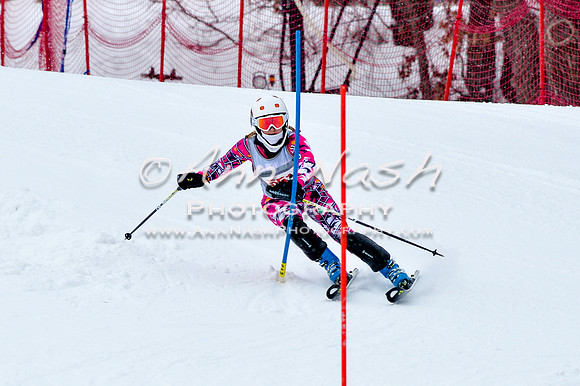 2016 January 22 alpine DSC_0733