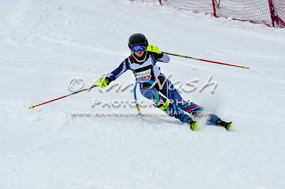 2016 January 22 alpine DSC_1072