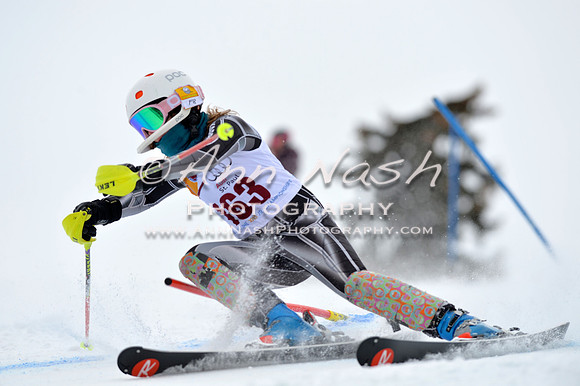 alpine_2015-02-14_12-50-41_DSC_7593_©AnnNashPhotographyLLC_2015