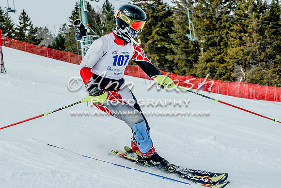 2016 February 14 alpine DSC_7234-2