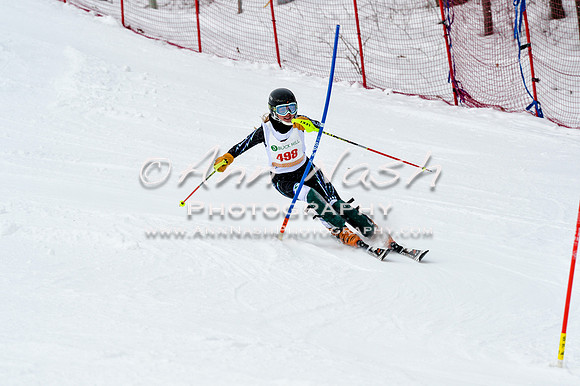 2016 January 22 alpine DSC_1911