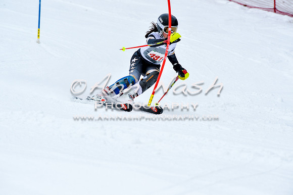 2016 January 22 alpine DSC_0674