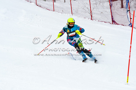 2016 January 22 alpine DSC_1469