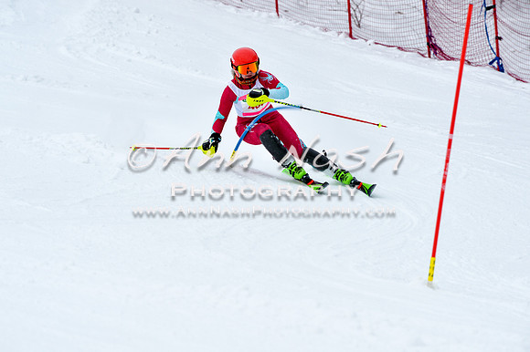 2016 January 22 alpine DSC_0838