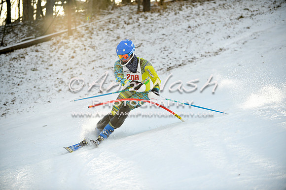 2015 December 18 alpine DSC_0127