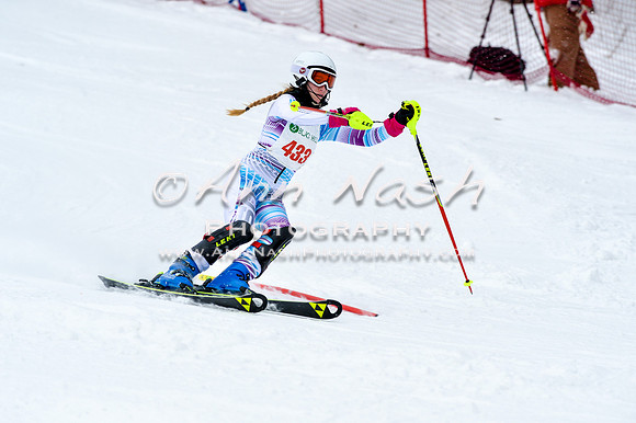 2016 January 22 alpine DSC_1017
