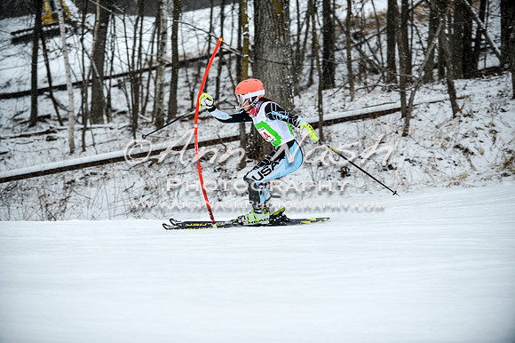 2015 December 18 alpine DSC_9044