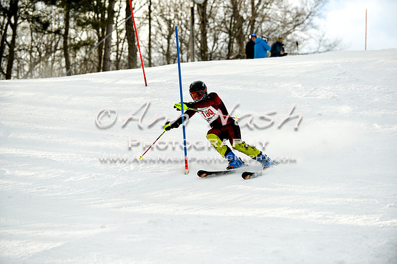 2015 December 18 alpine DSC_9991