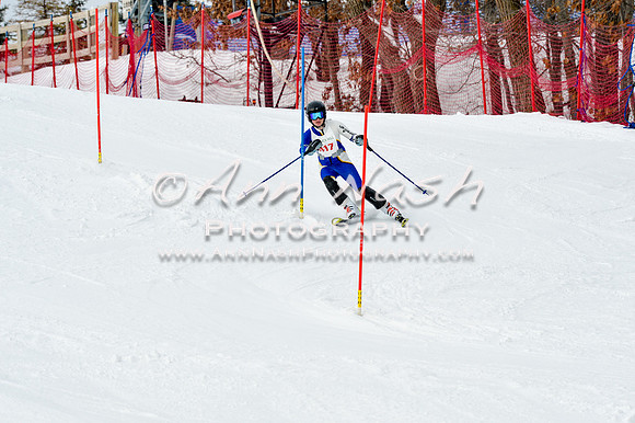 2016 January 22 alpine DSC_1729