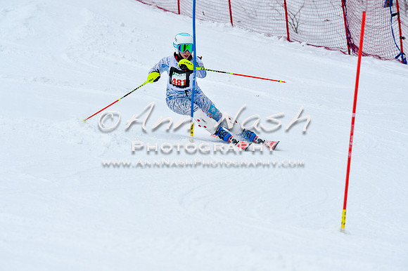 2016 January 22 alpine DSC_0659