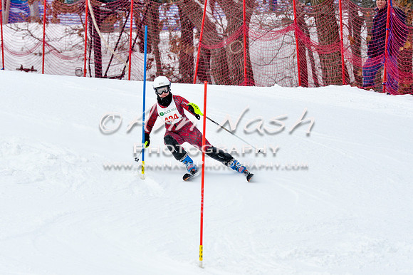 2016 January 22 alpine DSC_1198