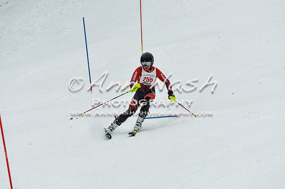 2015 December 18 alpine DSC_9404