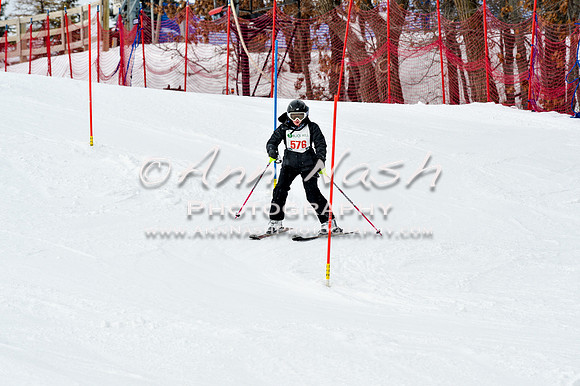 2016 January 22 alpine DSC_1703