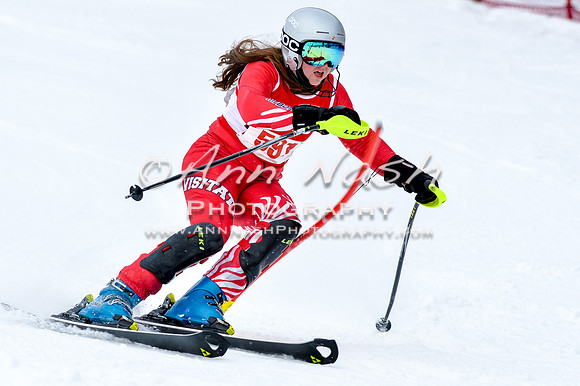 2016 January 22 alpine DSC_0773