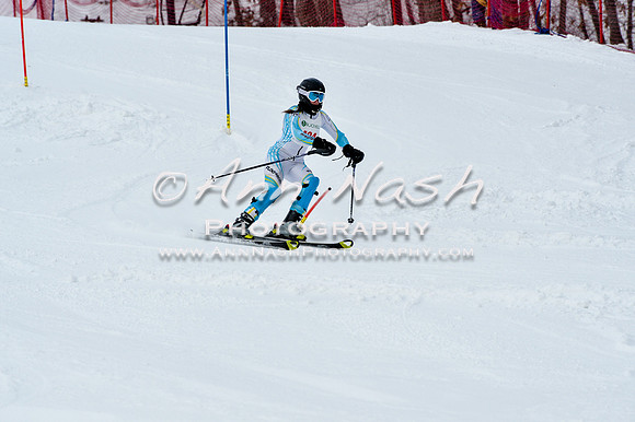 2016 January 22 alpine DSC_1190