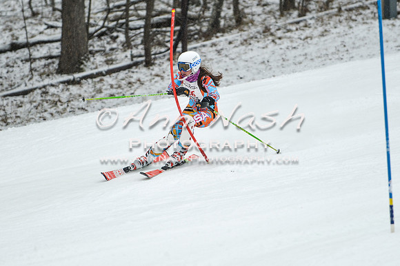 2015 December 18 alpine DSC_9393