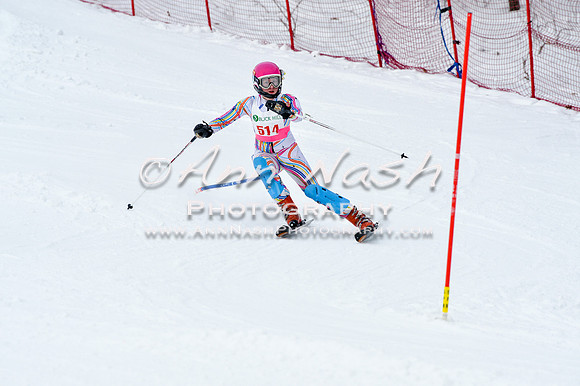 2016 January 22 alpine DSC_1294