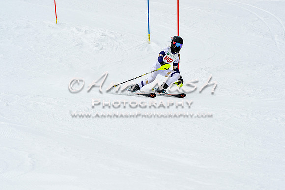 2016 January 22 alpine DSC_1945