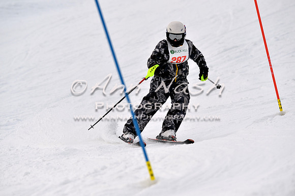 alpine_2015-01-22_12-53-40_DSC_2517_©AnnNashPhotographyLLC_2015