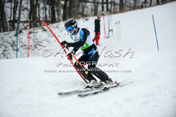 2015 December 18 alpine DSC_9296