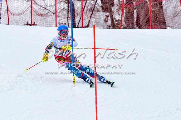 2016 January 22 alpine DSC_0764