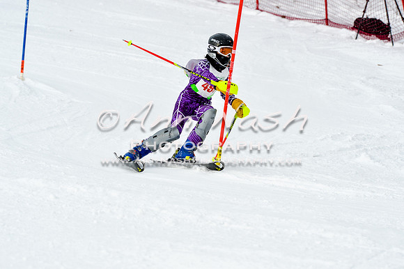 2016 January 22 alpine DSC_1793