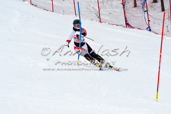 2016 January 22 alpine DSC_1161