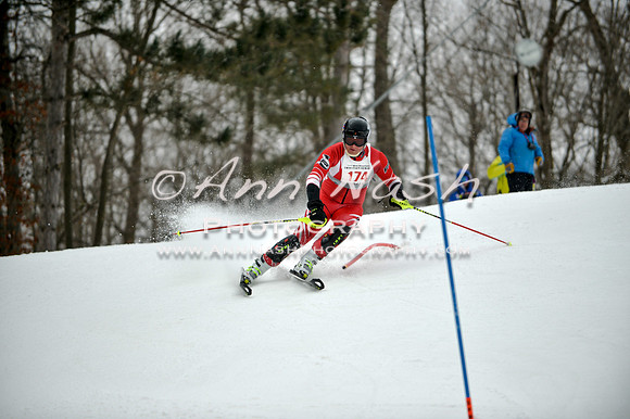 2015 December 18 alpine DSC_9502