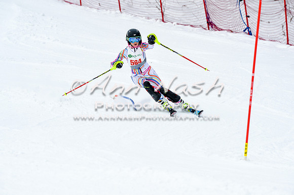 2016 January 22 alpine DSC_1341