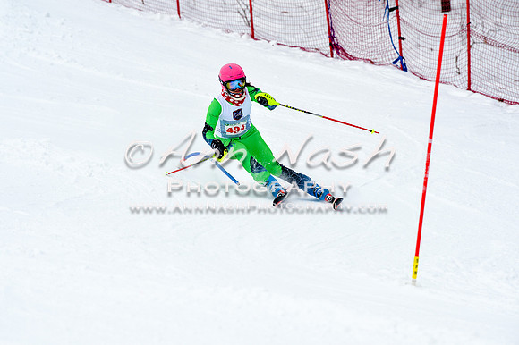 2016 January 22 alpine DSC_1280