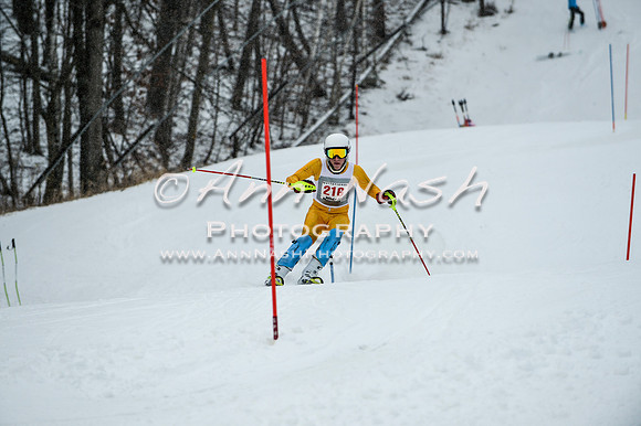 2015 December 18 alpine DSC_9307