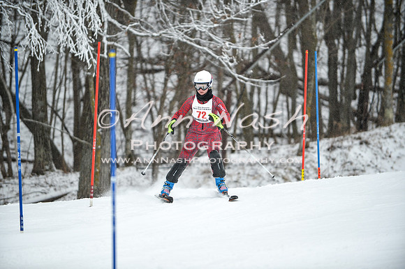 2015 December 18 alpine DSC_9353