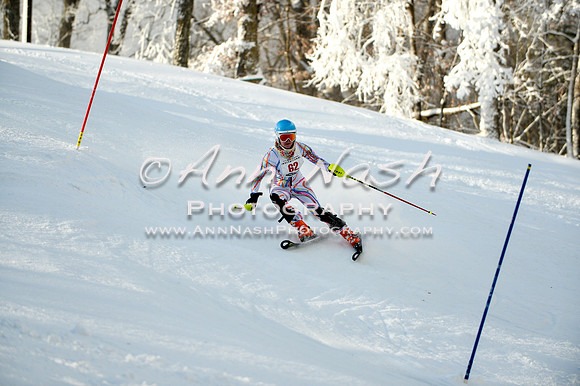 2015 December 18 alpine DSC_0140