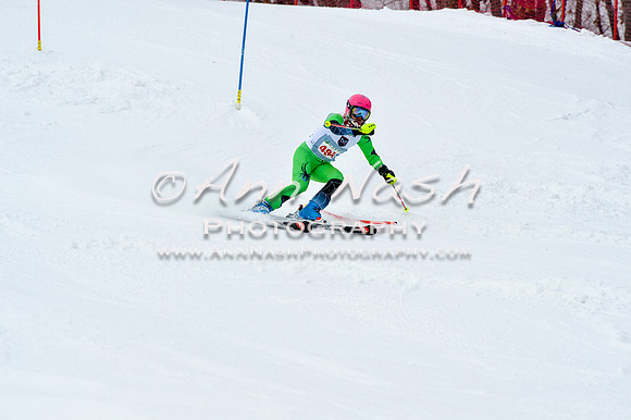 2016 January 22 alpine DSC_1277