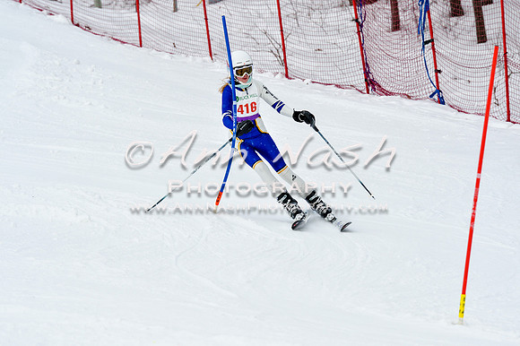 2016 January 22 alpine DSC_1560