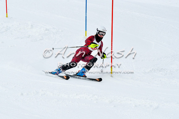 2016 January 22 alpine DSC_1200
