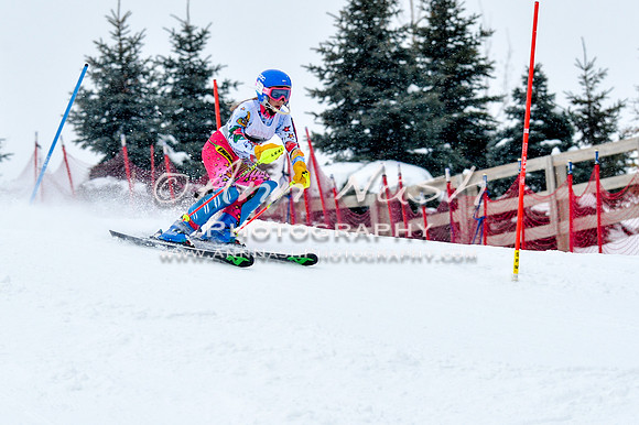 2016 January 22 alpine DSC_0763