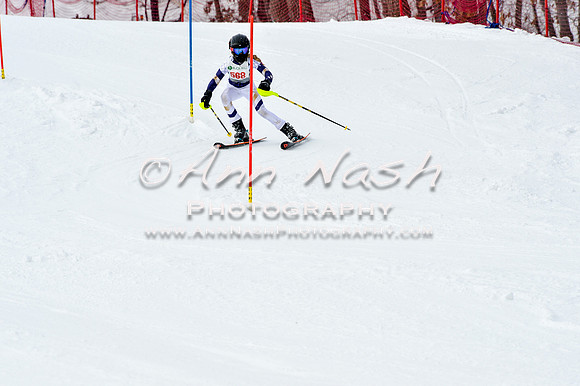 2016 January 22 alpine DSC_1944