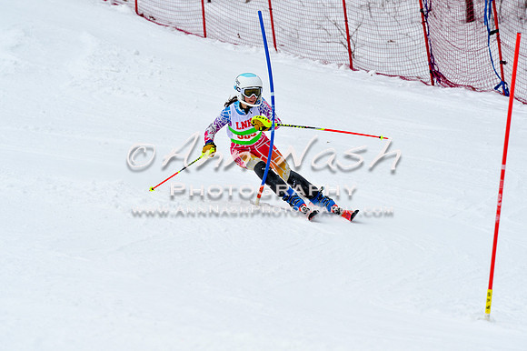 2016 January 22 alpine DSC_1374