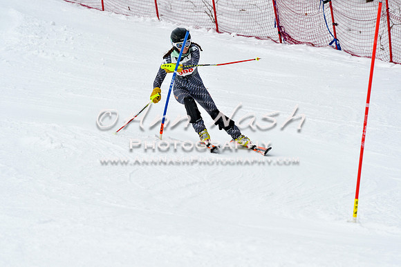 2016 January 22 alpine DSC_1937