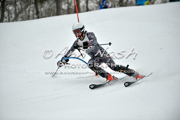 2015 December 18 alpine DSC_9508