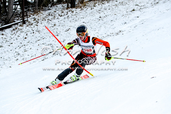 2015 December 18 alpine DSC_9782