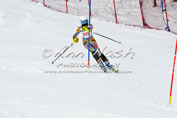 2016 January 22 alpine DSC_1643